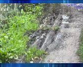 Заболевших становится все больше. ЭКСПРЕСС -НОВОСТИ.