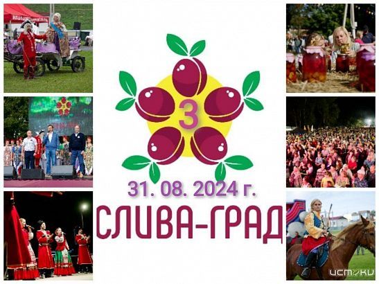 Фестиваль "Слива-град" проведут в этом году в конце лета на Орловщине