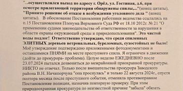 прокуратура Депутат орловского городского совета 1 и 2 созывов продолжает борьбу за деревья в историческом центре Орла