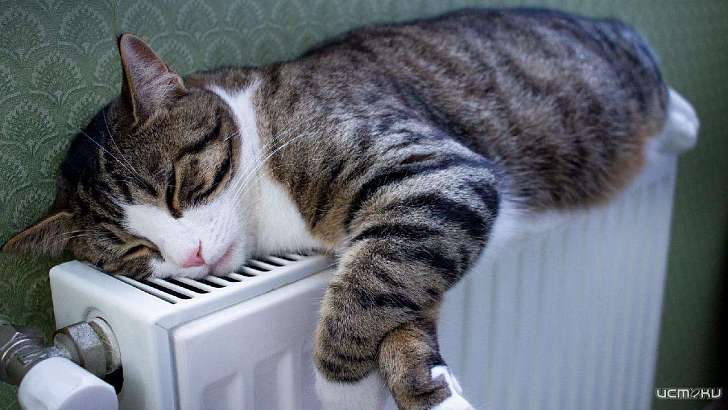 В Орле отопление включили в 40 % жилых домов