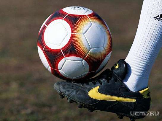 Ринат Дасаев оценил шансы голкипера "Спартака" Александра Селихова