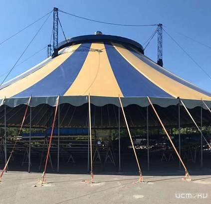 Орловский цирк обвинили в давлении на власть