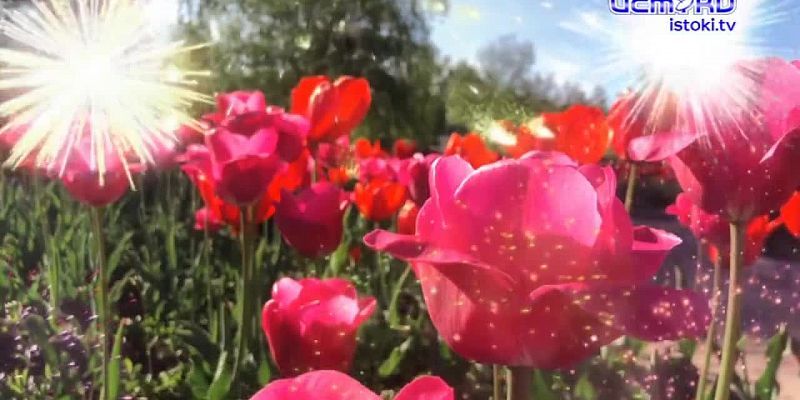 Хорошо забытое старое 10.05.2026
