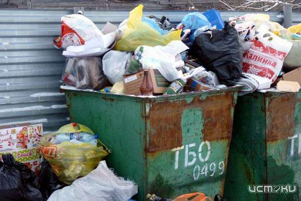 Жители более 3000 населенных пунктов Орловщины могут не платить за вывоз мусора