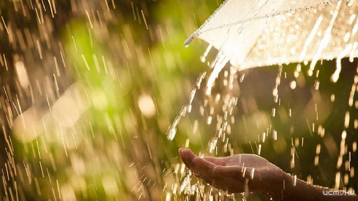 Последний июньский день в Орле будет жарким, но дождливым