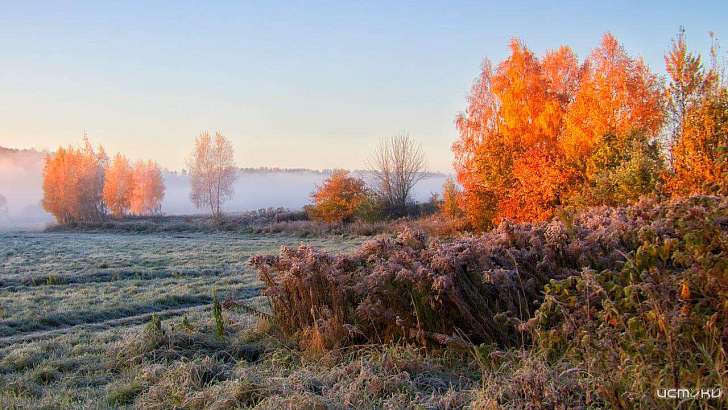 «Мороз и солнце, день чудесный...»: погода в Орле на 25 ноября