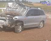 Лужки снова завалены мусором, а в Северном районе бродячие собаки едва не разорвали прохожего