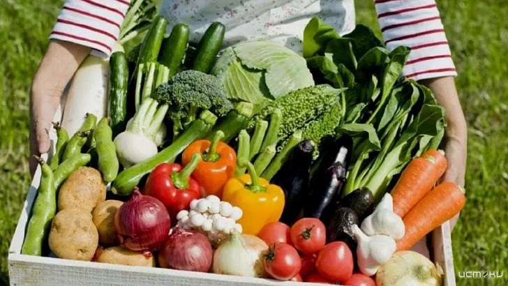 Смотр трудолюбия: на Орловщине объявлен конкурс «Ветеранское подворье»