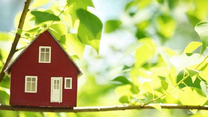 «Дачная амнистия» продлена: на оформление домов у орловчан есть еще пять лет 