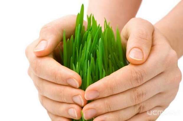 Орловская область вошла в пятерку лидеров рынка агрострахования в России