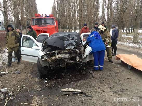 В Ливнах водитель «Опеля» врезался в дерево