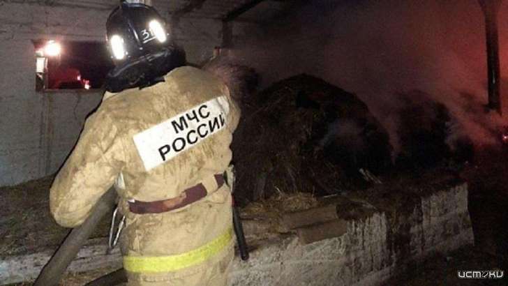 Ночью в Орловской области сгорели три тонны ячменя и 120 тюков сена