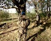 Под Орлом провели ежегодный турслёт "Багряные листья"