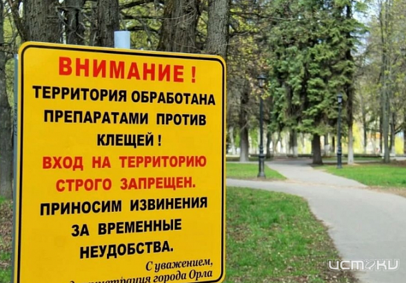 В Орле зоны отдыха обрабатывать препаратами против клещей будет ИП