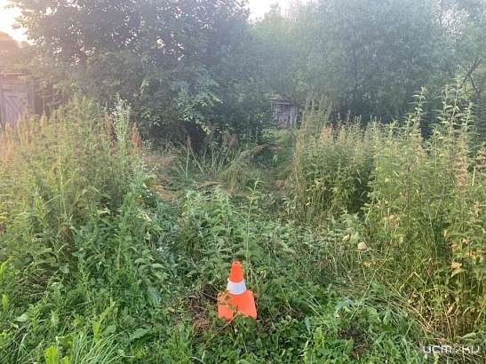 На жительницу Орловской области наехала собственная машина