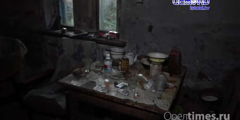 Официальная версия vs взгляд изнутри: орловская девочка-маугли провела три дня с пьяной компанией матери