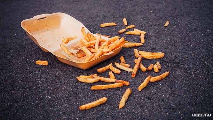 Блюда на полу: на Орловщине временно закрыли придорожное кафе 