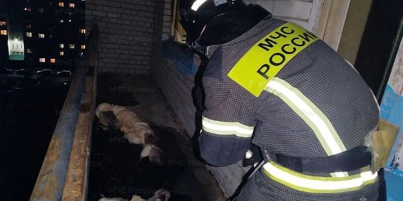 На улице Пожарной в Орле вспыхнул матрас — пожарные спасли мужчину