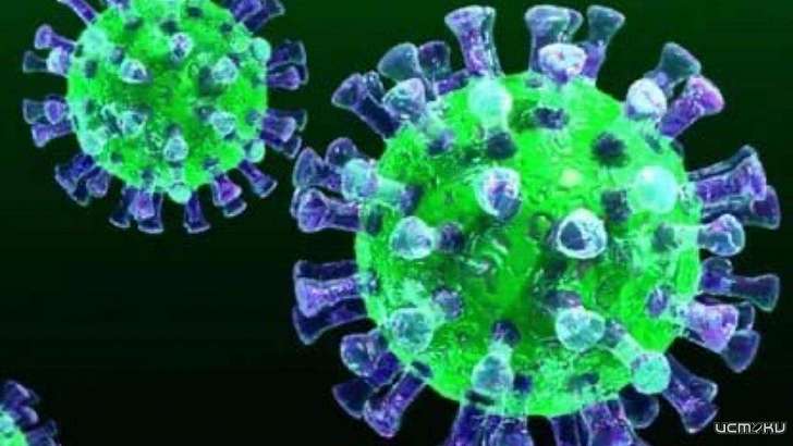 В Орловской области COVID-19 подтвердился ещё у 50 орловчан