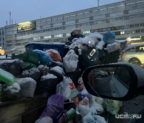 Орловчане продолжают активно присылать фотографии и информацию о мусоре, который не вывозится