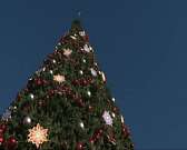 К Новому году в Орле появится 50 елок, а мэрия принимает жалобы через соцсети. Новости за 90 секунд