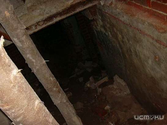 Житель Залегощенского района убил своего знакомого и похоронил в подвале