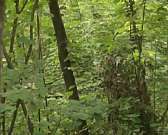 Новости за 90 секунд: назначен новый глава областного департамента финансов, судебные приставы разыскивают отца, укравшего у матери ребенка, орловчане...