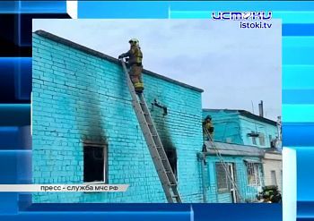 В Орле опять щепки летят – жители улицы Энгельса возмущены очередной вырубкой деревьев. В Орле опять щепки летят – жители улицы Энгельса возмущены очередной вырубкой деревьев.