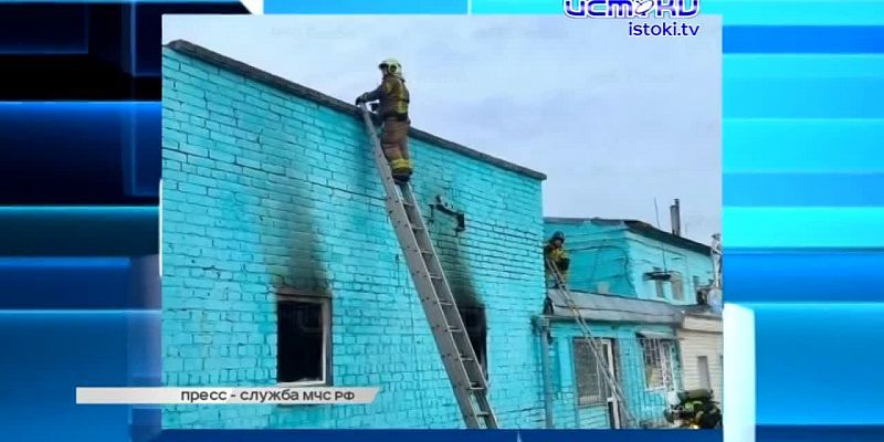 В Орле опять щепки летят – жители улицы Энгельса возмущены очередной вырубкой деревьев.