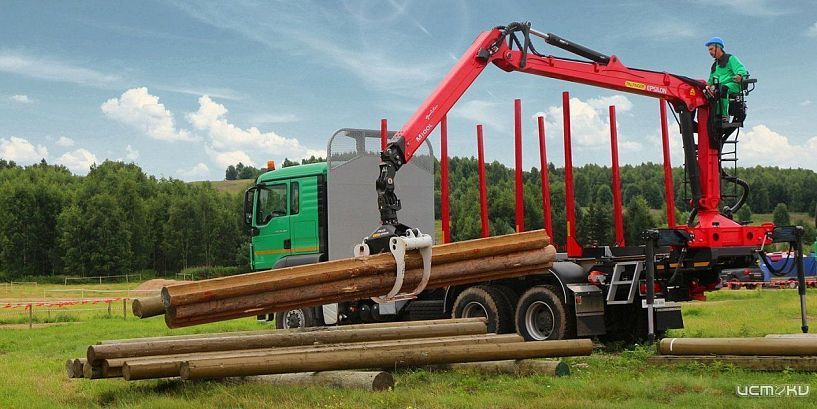 Железные гиганты леса: обзор ключевой лесозаготовительной техники