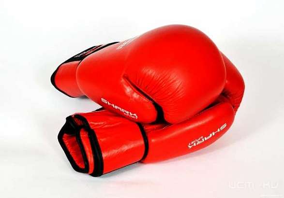 Ливенские боксеры вернулись с соревнований из Абхазии с медалями