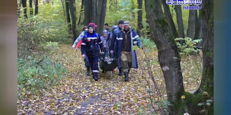 Чужого горя не бывает: орловские волонтеры-поисковики делают все, чтобы люди не пропали навсегда