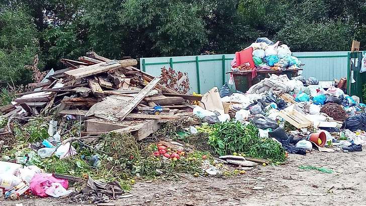 Орловчане хотят узнать, что случилось с мусорщиками