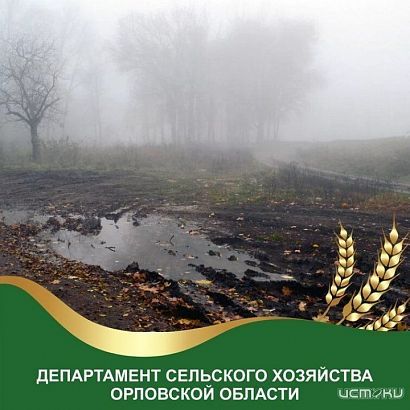 В агропромышленном комплексе Орловской области введен режим ЧС