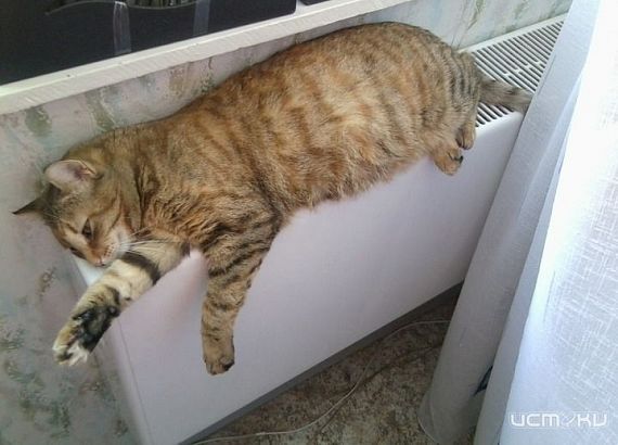 В ближайшие дни в Орловской области начнется отопительный сезон