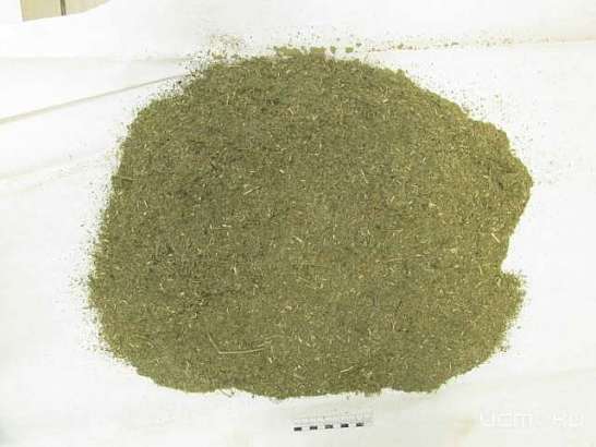 В Ливнах у местного жителя нашли марихуану