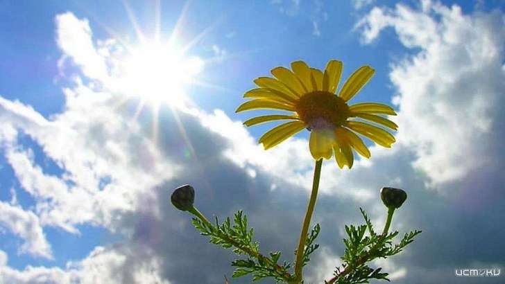 Сегодня орловчан ждет ясный и теплый день