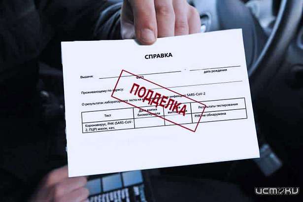 В Новосиле заблокировали сайт по продаже «ковидных» справок