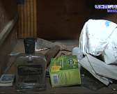 Два видения истории орловской девочки-маугли: чиновники опровергают данные СМИ