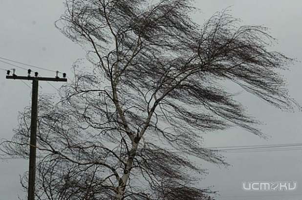 Ветреные выходные