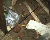 Капитальный ремонт закончим, детские площадки доделаем. Какими завтраками сегодня "кормили" в городской Администрации