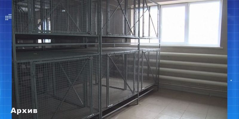 В приюте для животных, который так и не открыли, уже ремонтируют полы. Экспресс - новости.