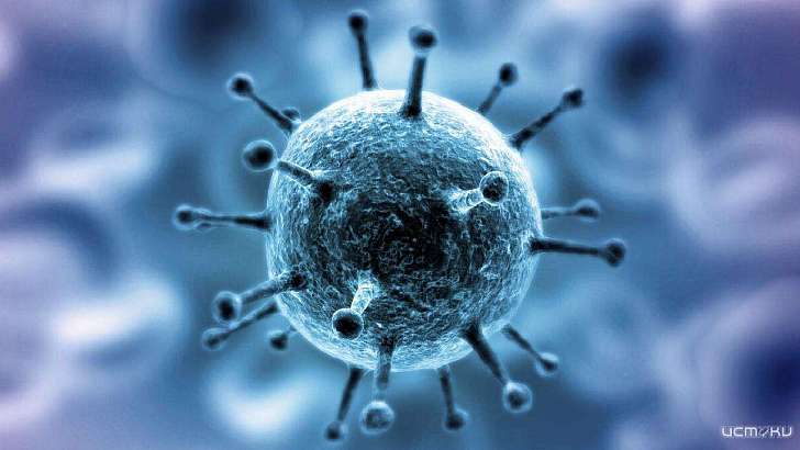 +165 случаев за сутки: Орловщина близка к новому антирекорду по COVID 