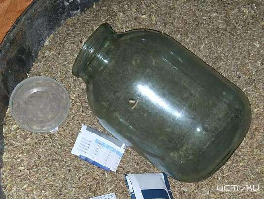 Орловчанина отдадут под суд за банку с марихуаной