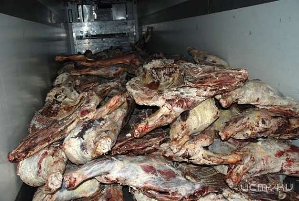 Курская таможня задержала контрабандное мясо
