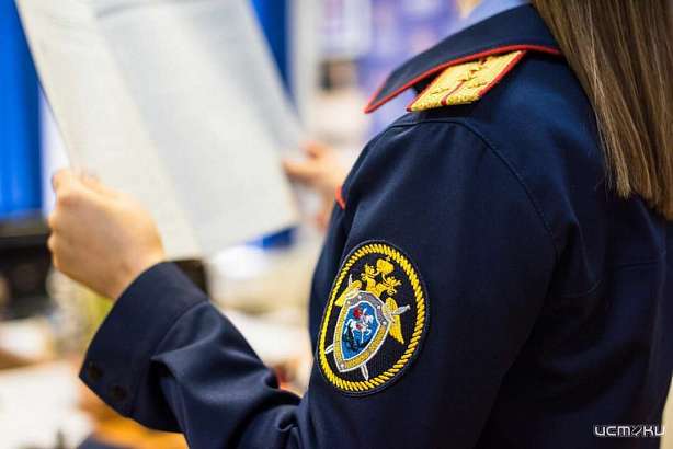 Орловские следователи возбудили уголовное дело на подставного директора ООО «Авангард» Орловские следователи возбудили уголовное дело на подставного директора ООО «Авангард»