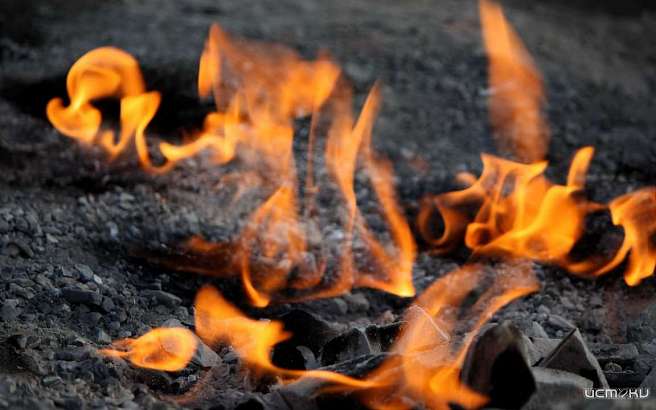 Житель Ливен убил сына «с особой жестокостью»