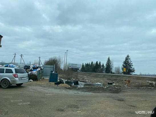 Мусор продолжает победное шествие по Орловщине