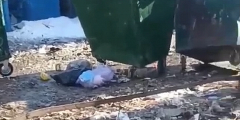 В этом году по Орловской области намерены создать 100 контейнерных площадок.