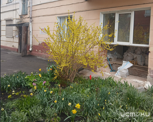 Орловчан беспокоит снос фасадной части стены их дома